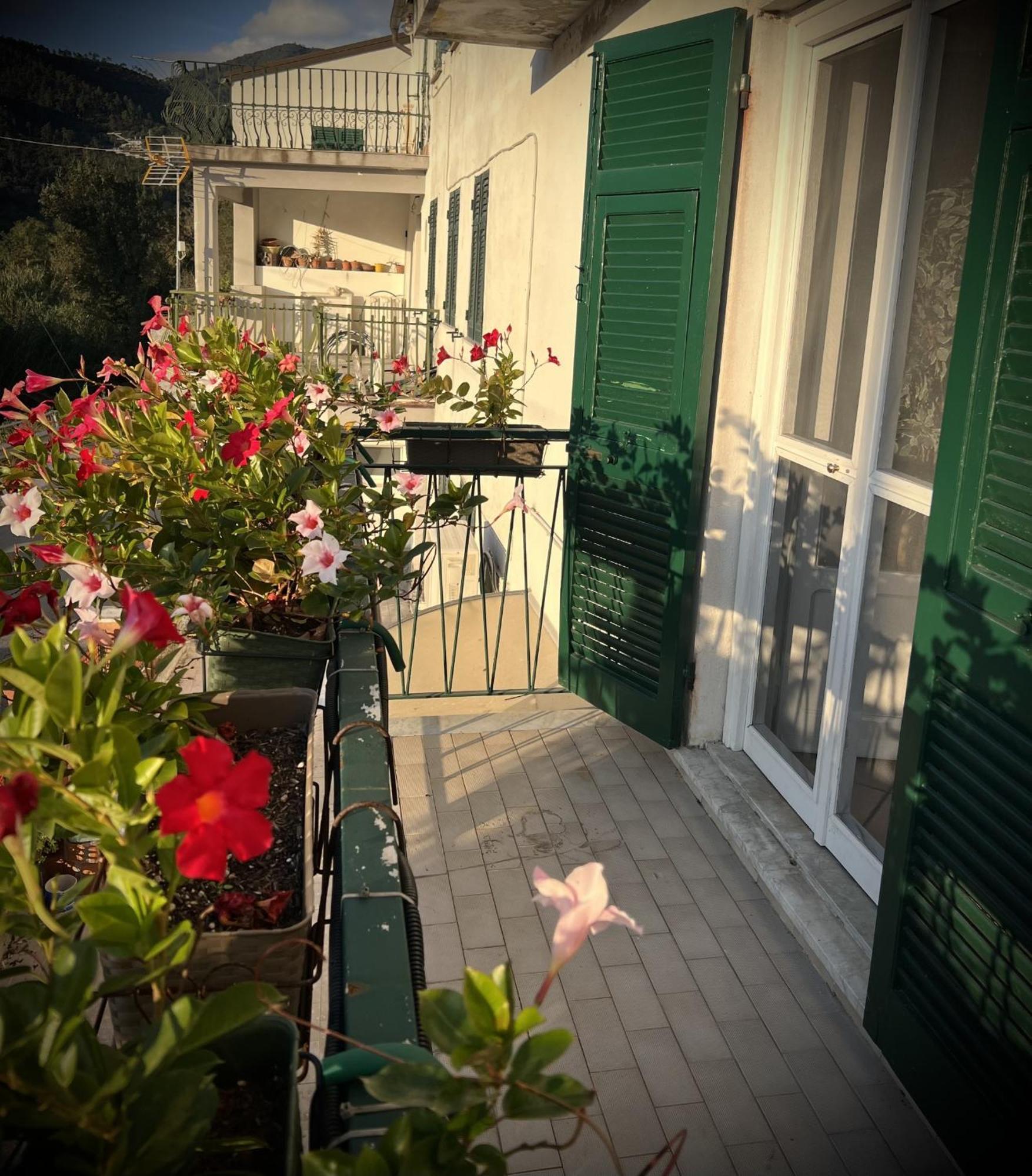 Evelyn'S Home - Giardino&Bbq Σέστρι Λεβάντε Εξωτερικό φωτογραφία
